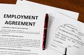 Employment Law